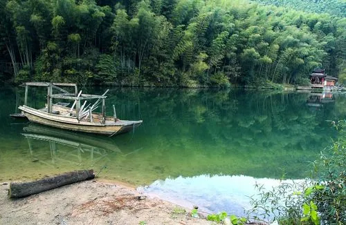 高端高端
